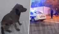 Zbrinut muškarac koji je pokušao da pojede živog psa: Kuče ima povrede od ugriza i istraumirano je