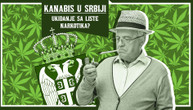 Kako će marihuana biti skinuta sa liste narkotika u Srbiji, a kako izgleda njena upotreba u svetu?
