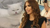 Olja Crnogorac zamalo ostala bez mačka, za sve krivi veterinara: Inspekcija pokrenula postupak