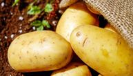 Krompir u Srbiji skočio skoro 300 odsto