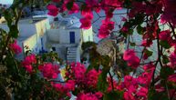 Grčka ima za svakoga ponešto: 20 ostrva za putnike različitih ukusa