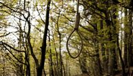 Pronađeno još jedno obešeno telo: Samoubistvo u šumi na Bežanijskoj kosi