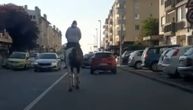 Beograđanin u kupovinu išao na konju: Snimak lepotana u galopu na Ceraku oduševio ljude