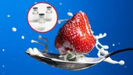 Rusi prave vakcinu protiv korone sa ukusom jagode: Moći ćemo da je pijemo uz jogurt ili kefir