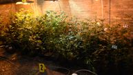 "Gnev" se nastavlja: Policija ušla u neugledni podrum, sa čudnim rupama i cevkama, unutra marihuana