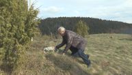 Na imanju u Ojkovici niče samo 1 biljka, a plodovi su u obliku krsta: Tu je navodno bila Božija kuća