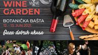 Treći Wine garden u Botaničkoj bašti 12. i 13. juna: Vinski piknik u centru grada