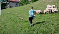 Ima 11 godina i želi da bude najveći stočar na Balkanu: Dečak sa Drine sam sebi kupio ovce