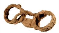 Pronađen skelet sa okovima u Rotlandu: Dokaz da je tokom rimske okupacije Britanije bilo ropstva
