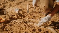 "Grobtastično!": Pronađeni ostaci deteta umrlog pre oko 7.000 godina kod Vinkovaca