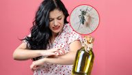 Prva pomoć kod ujeda insekata: Kako smanjiti otok od napada komarca, pčele, ose, stršljena i pauka
