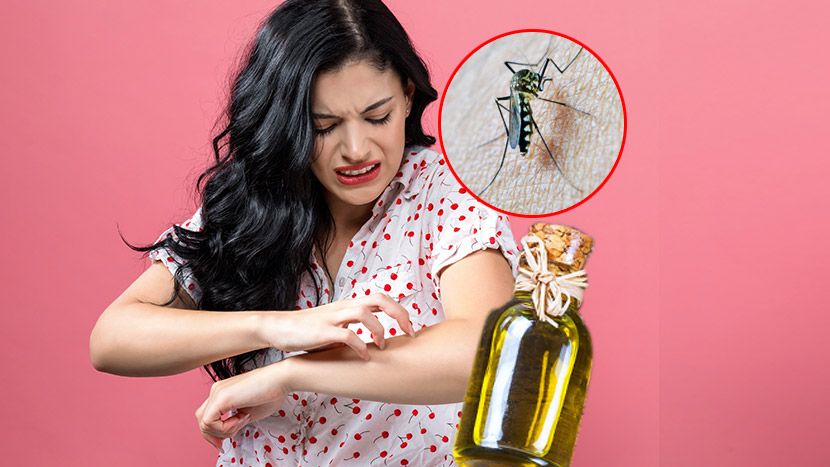 Prva pomoć kod ujeda insekata: Kako smanjiti otok od napada komarca, pčele,  ose, stršljena i pauka 