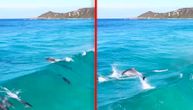 Kada se delfini zaigraju: Obradovali se talasima kao deca, pa ih preskakali jedan po jedan