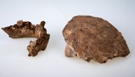 U Izraelu nađeni ostaci ranije nepoznate vrste ljudi: Pretpostavlja se da su preci neandertalaca