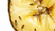 Zauvek se otarasite napasti: 3 jednostavna trika kako da se rešite voćnih mušica