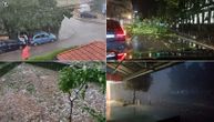 The morning after a terrible storm: Broken trees, destroyed crops, stormy wind lifted roofs