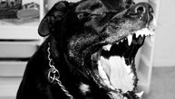 Pitbul rastrgao psa u Leskovcu: Vlasnik od stresa doživeo srčani udar i preminuo