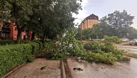 Jutro posle nevremena u Srbiji: Vetar lomio drveće, obarao semafore, sa kuća leteli delovi krovova