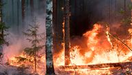 Požar na Svetoj Gori: Vatra zahvatila šumu, muškarac pronađen povređen na drvetu