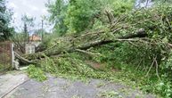Horrific storm roared through Serbia early this morning: Fallen, uprooted trees, lightning strikes