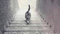 Da li ova mačka hoda uz ili niz stepenice? Odgovor krije način na koji vidite svet oko sebe