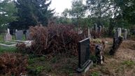 Ne daju pokojnicima da počivaju u miru kod Topole: Sekli drva, a grane nabacali na spomenike
