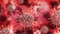 Pronađen novi soj korona virusa: Naučnici strahuju da bi mogao da bude zarazniji