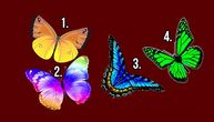 Odaberite leptira i saznajte tajne i suštinu vaše duše: Imajte na umu, izbor nikada nije slučajan