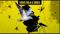 Virus Zapadnog Nila otkriven i kod ptica u Srbiji: Registrovani novi slučajevi zaraze među ljudima