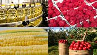 Od 5 top izvoznih proizvoda, četiri su hrana: Šta Srbija najviše prodaje svetu