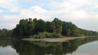 Rezervat biosfere "Mura-Drava-Dunav" upisan na listu Uneska: U 5 država sada najveće prirodno dobro