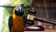 Dva muškaraca optužena su za silovanje i ubistvo novinarke: Jedini svedok na suđenju biće papagaj