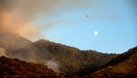 Prastare džinovske sekvoje zaštićene aluminijumskim ćebadima od požara u Kaliforniji