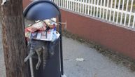 Bizaran prizor kod vrtića u Leskovcu: Neko je bacio mrtvu mačku u kontejner, širi se nesnosan smrad