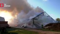 Požar u školi u Svilajncu: Pričinjena materijalna šteta, potrebna pomoć za životinje o kojima učenici brinu