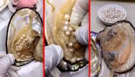 Rađanje magije: Pogledajte kako se vade biseri iz školjke od kojih nastaje prelep nakit