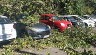 Košava napravila karambol u Beogradu: Vetar oborio drvo, teške grane pale na parkirane automobile
