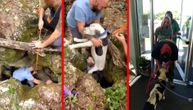 Čudo života: Pas preživeo pad od 10 metara, 2 nedelje proveo u jami, slučajno ga našli