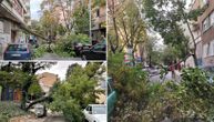 Košava u Beogradu nosi sve pred sobom: Vetar čupao drveće, blokirane ulice, oštećeni i automobili