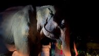 Čoveku ukrali slona, a njihov susret posle 18 godina istopiće i najledenija srca