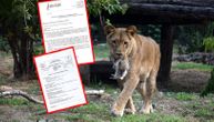 Leševi 4 lavića u Zoo vrtu Palić nikada nisu nađeni: Dobili smo obdukcione nalaze i za druge mrtve životinje