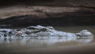 Aligator izujedao staricu nasmrt kada je upala u jezero: Držao je u čeljustima, nije hteo da je pusti