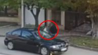 Snimak strave iz Novog Sada: Brutalno baca psa na beton, pa ga ubacuje u gepek i odlazi