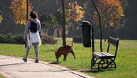 Kroz maglu će se probiti sunce: Čeka nas lep dan sa temperaturama do 14 stepeni