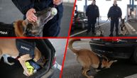 Milana i Nerona krijumčari ne mogu da prevare: Kad su psu otvorili vrata vozača, uskočio je