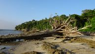 Selo na obali Indije moglo bi da nestane pod vodom: Talasi visoki kao kokosove palme ruše kuće