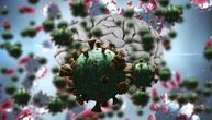 Novo otkriće: Korona virus sposoban da izgradi kanale koji mu omogućavaju da putuje od ćelija nosa do mozga