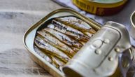 Znate li zašto je sardina koju kupujete sve manja i manja?