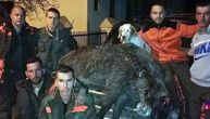 Lovac iz sela Kovilje ulovio grdosiju od 170 kg: Vepar izašao pred njega, on ga odstrelio