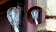 Kući porodice Zogaj lopovi ne prilaze: Ovo je kobra sistem protiv provalnika